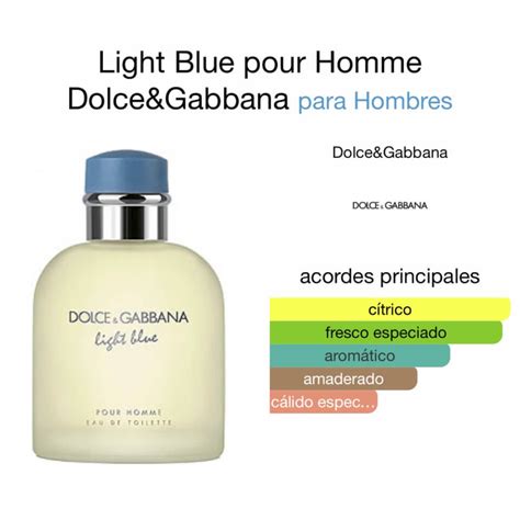 notas olfativas light blue - dolce gabbana